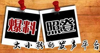 今日实拍爆料新闻,今日热点事件现场直击